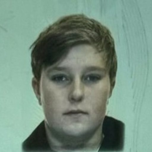 Halvor Bergseth Bangsmoen